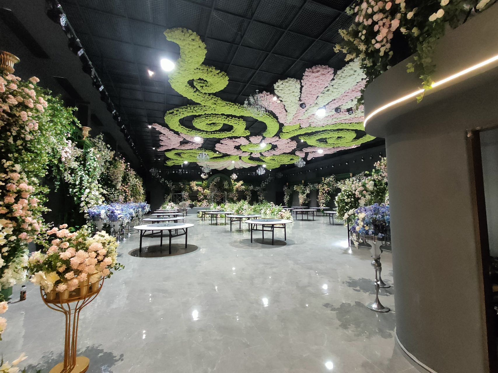 青島天璽愛琴?；檠缰行? class=